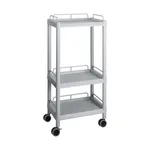 AS ONE Mobile Easy Cart (Tall Type/Regular 31) Gray 3 Sages Wiith Guard Frame ME31H