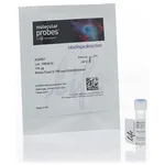 Thermo Fisher Scientific Alexa Fluor 790 NHS Ester (Succinimidyl Ester)