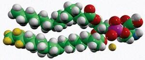 Merck 15:0-18:1-D7-PS