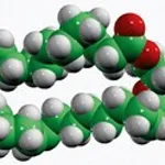 Merck 15:0-18:1-D7-PS