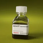 Thermo Fisher Scientific MagnaBind Goat Anti-Rabbit IgG