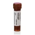 Thermo Fisher Scientific CellBlox Blocking Buffer, 25 Tests