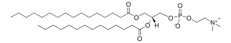 Merck 16:0-14:0 PC