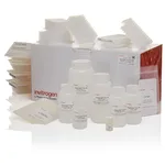 Thermo Fisher Scientific PureLink Pro Quick96 Plasmid Purification Kit, 4 x 96 Preps