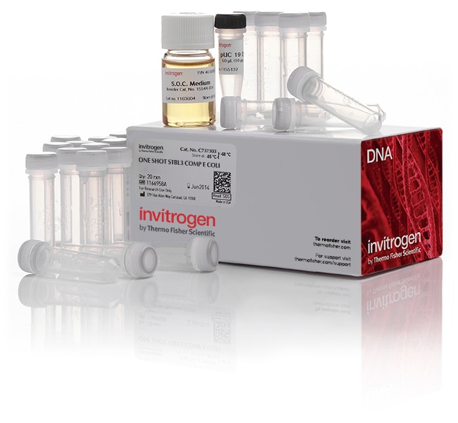 Thermo Fisher Scientific One Shot Stbl3 Chemically Competent E. coli