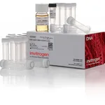 Thermo Fisher Scientific One Shot Stbl3 Chemically Competent E. coli