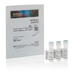 Thermo Fisher Scientific Tubulin Tracker Green (Oregon Green 488 Taxol, bis-acetate)