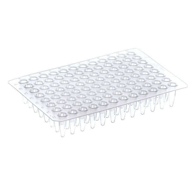 Thermo Fisher Scientific PCR Plate, 96-well, non-skirted, green