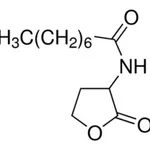 Merck N-OCTANOYL-DL-HOMOSERINE LACTONE >= 97.&