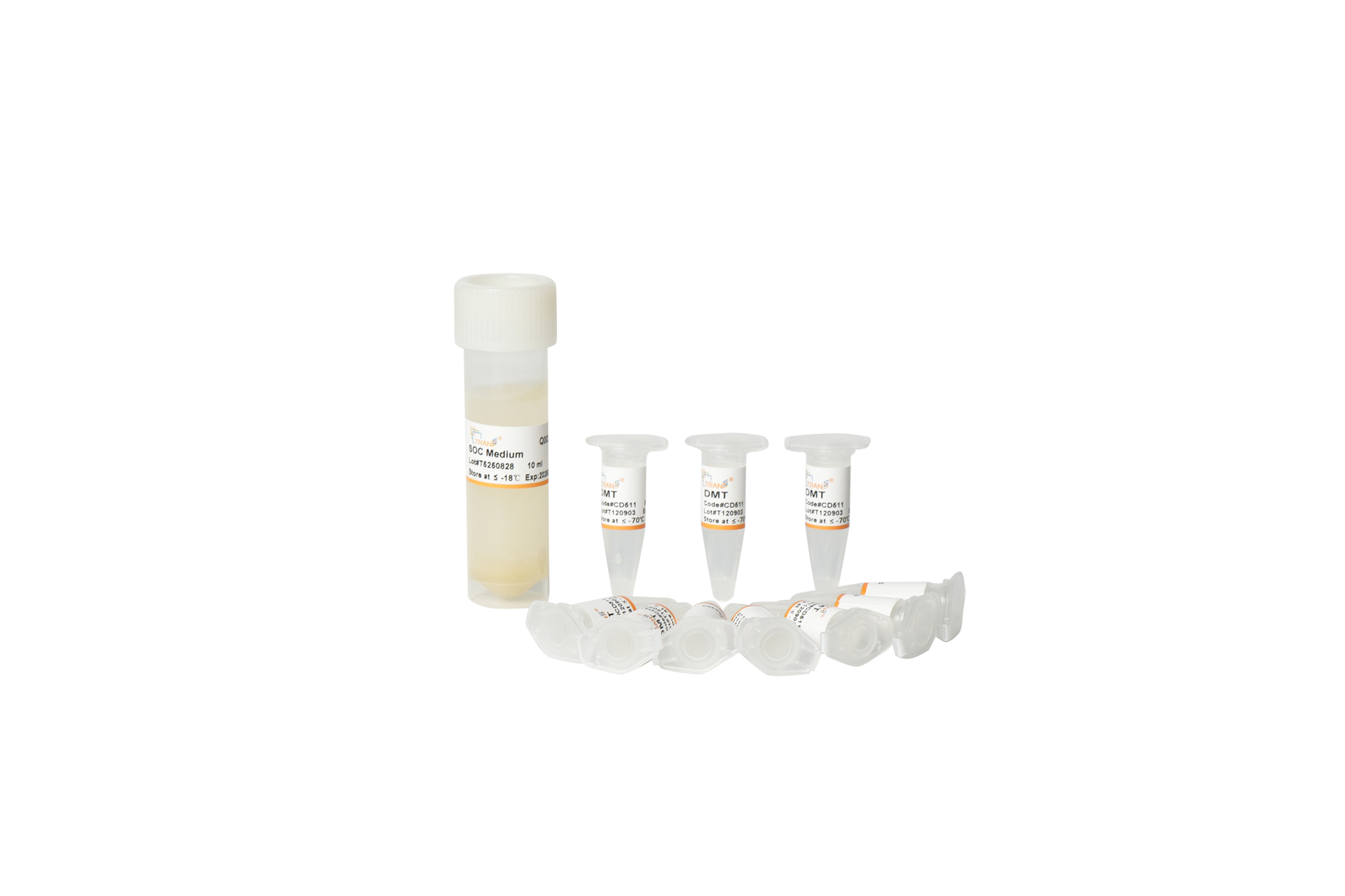DMT Chemically Competent Cell