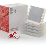 Thermo Fisher Scientific LentiArray Human Druggable CRISPR Library, Glycerol