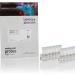 Thermo Fisher Scientific Vybrant CFDA SE Cell Tracer Kit