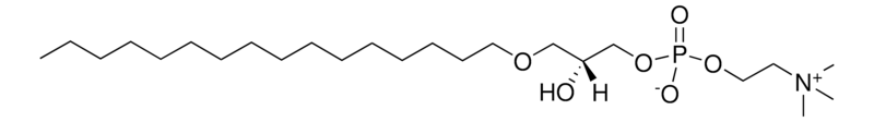 Merck Lyso PAF (from Heart PC)