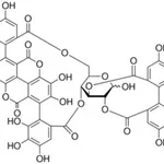 Merck PUNICALAGIN, >=98% (HPLC), FROM&