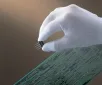 AS ONE Urethane FingerTip Coated Top Fit Glove (Special Seamless), 탑피트장갑(특수심리스·손가락 끝 코트 타입)