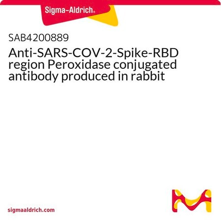 Merck Anti-SARS-COV-2-Spike-RBD region Peroxidase conjugated antibody produced in rabbit
