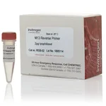 Thermo Fisher Scientific M13 Reverse Primer