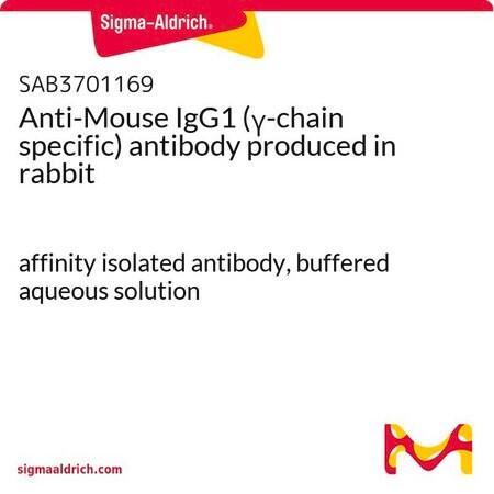 Merck Anti-Mouse IgG1 (gamma-chain specific) antibody produced in rabbit