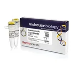 Thermo Fisher Scientific Esp3I (BsmBI) (10 U/μL), 200 units