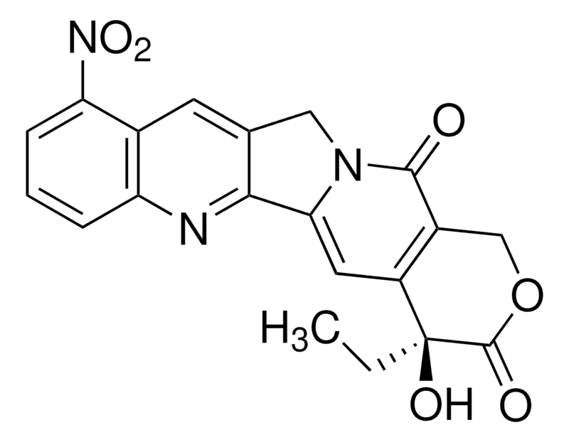 Merck Rubitecan