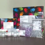 Thermo Fisher Scientific Pierce Agarose ChIP Kit