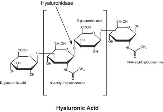Merck HYALURONIDASE TYPE II FROM SHEEP TESTES