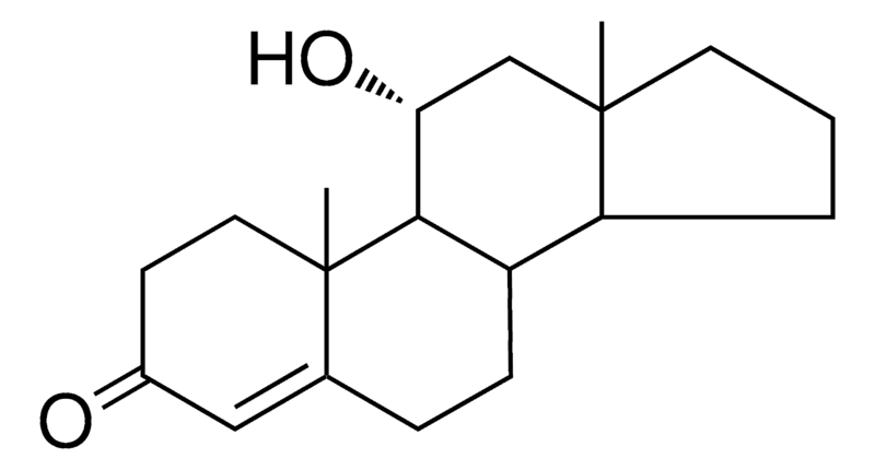 Merck 11-ALPHA-HYDROXYANDROST-4-EN-3 - 1 MG&