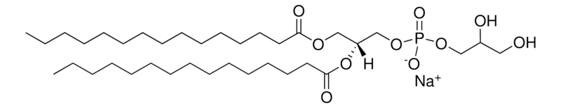 Merck 15:0 PG