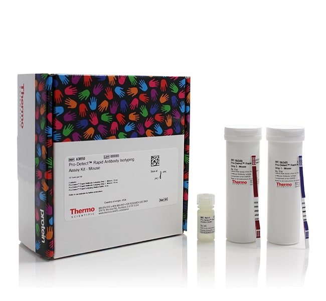 Thermo Fisher Scientific Pro-Detect Rapid Antibody Isotyping Assay Kit, mouse