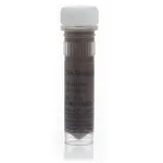 Thermo Fisher Scientific DNA Binding Beads for MagMAX-96 DNA Multi-Sample Kit
