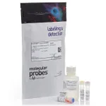 Thermo Fisher Scientific Qubit microRNA Assay Kit, 100 assays