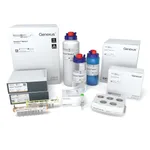 Thermo Fisher Scientific Ion AmpliSeq Polyploidy Panel Kit with Ion GX5 Chips (384 Samples)