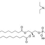 Merck 16:0 Liss Rhod PE