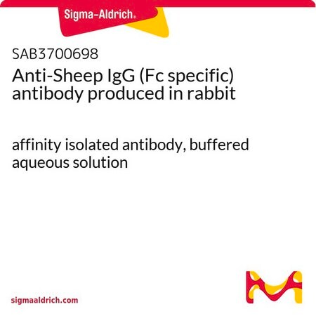 Merck Anti-Sheep IgG (Fc specific) antibody produced in rabbit