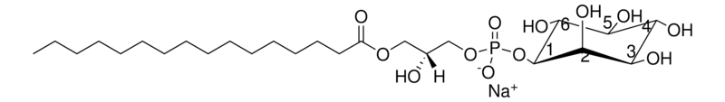 Merck Soy Lyso PI