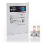 Thermo Fisher Scientific Vybrant Apoptosis Assay Kits for apoptotic and necrotic cell staining, 200 assays