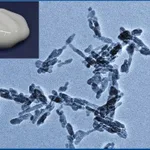 Merck HYDROXYAPATITE, AQUEOUS PASTE, < 50NM, &