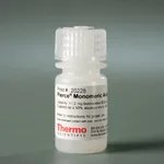 Thermo Fisher Scientific Pierce Monomeric Avidin Agarose, 5 mL