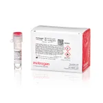 Thermo Fisher Scientific Vivofectamine VF232 Liver LNP Composition in Ethanol