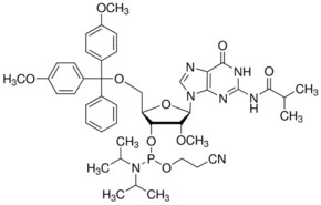 Merck DMT-2``O-ME-RG(IB) AMIDITE, 1G, ABI