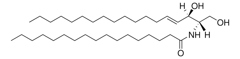 Merck C17 Ceramide (d18:1/17:0)