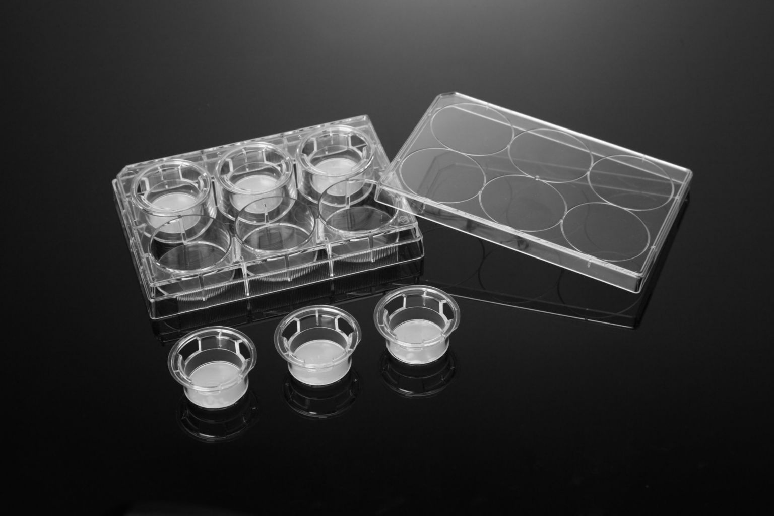 VWR Cell culture insert plates, PC