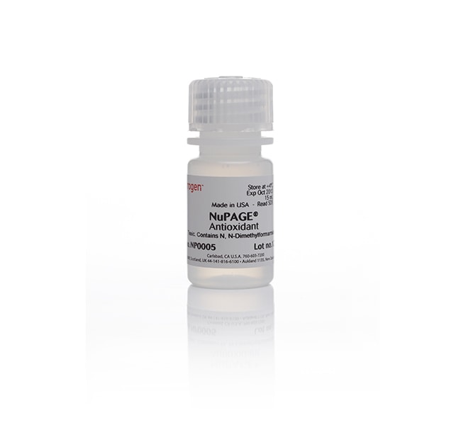 Thermo Fisher Scientific NuPAGE Antioxidant