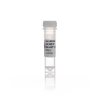 Thermo Fisher Scientific Anti-miR miRNA Inhibitor, 5 nmol