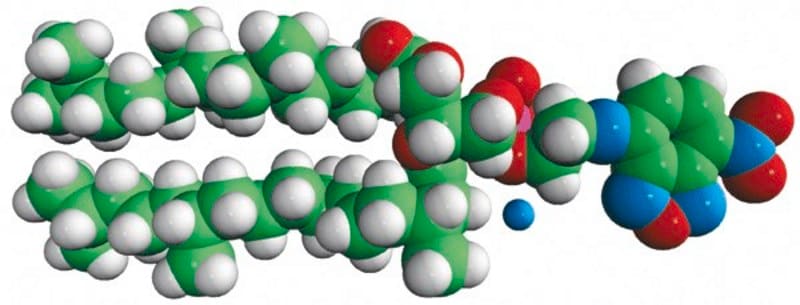 Merck 4ME 16:0 NBD PE (NBD-DPhPE)
