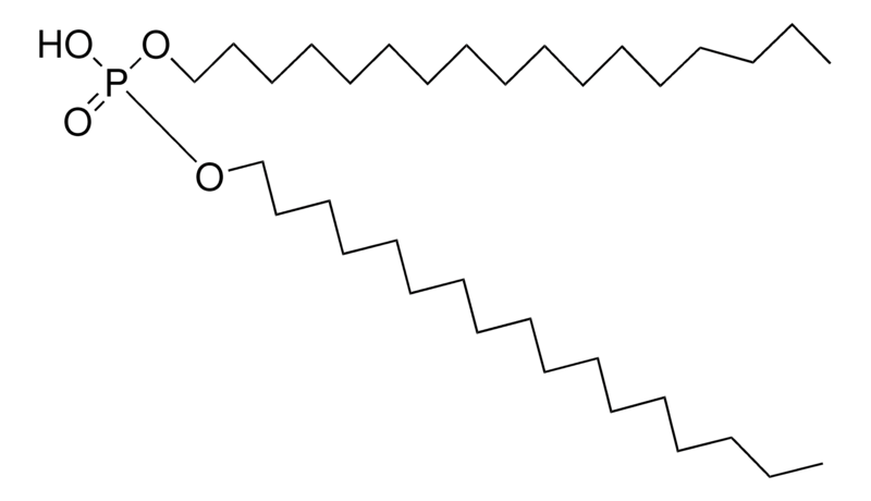 Merck DIHEPTADECYL PHOSPHATE-