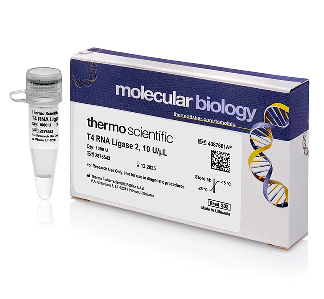Thermo Fisher Scientific T4 RNA Ligase 2 (10 U/μL), 1000 U