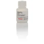 Thermo Fisher Scientific POROS XQ Strong Anion Exchange Resin, 10 mL