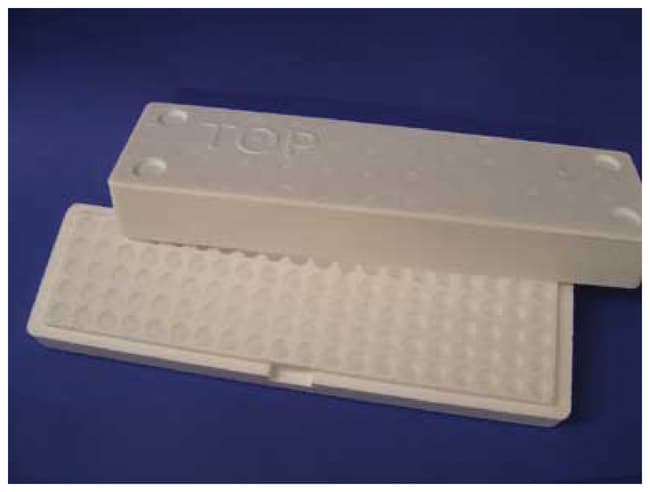 Thermo Fisher Scientific Microtube Storage Box EPS 100-Place