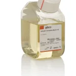 Thermo Fisher Scientific Schneider`s Drosophila Medium, 10 x 500 mL
